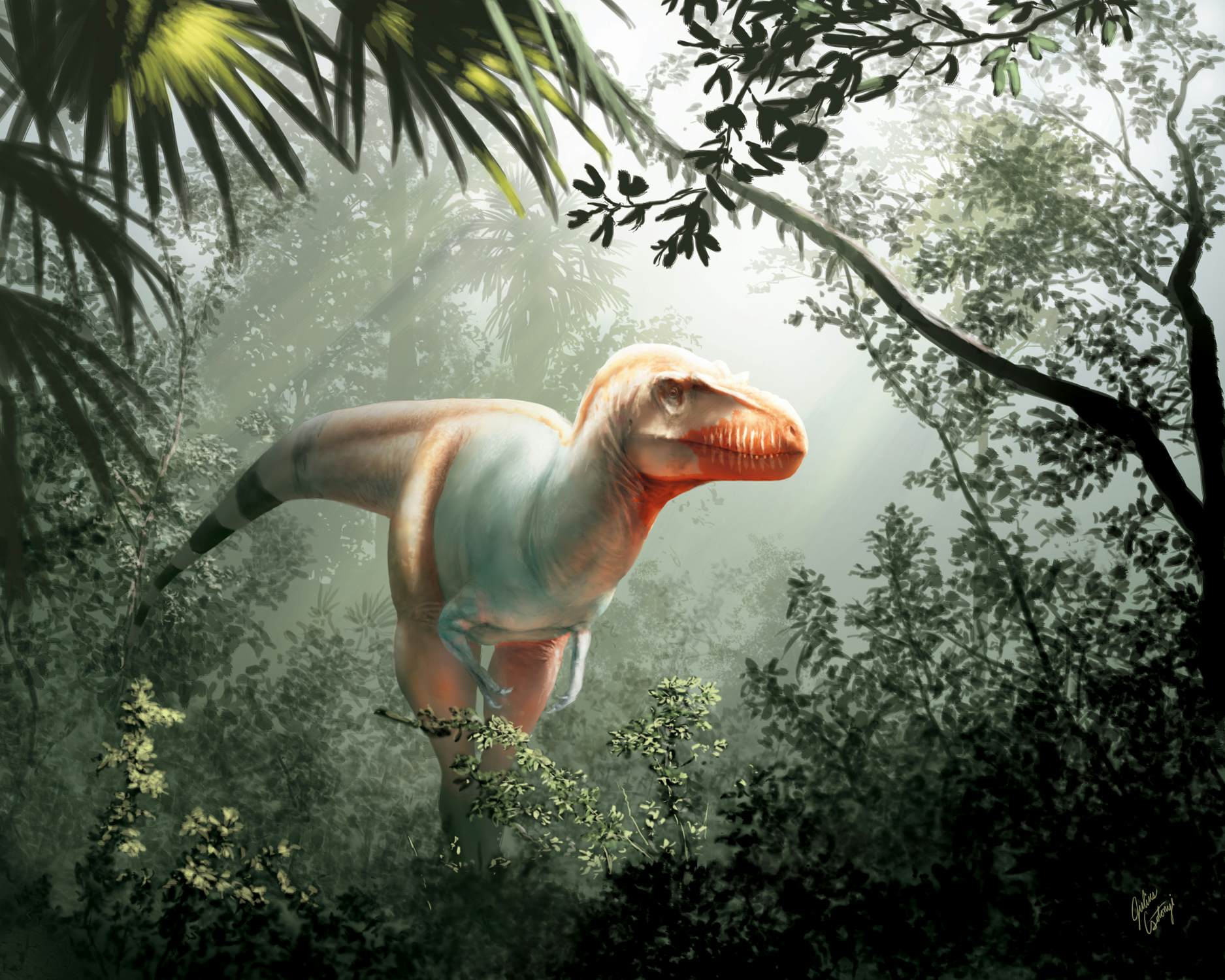 A rendering of the novel Tyrannosaur called Thanatotheristes degrootorum discovered in Alberta